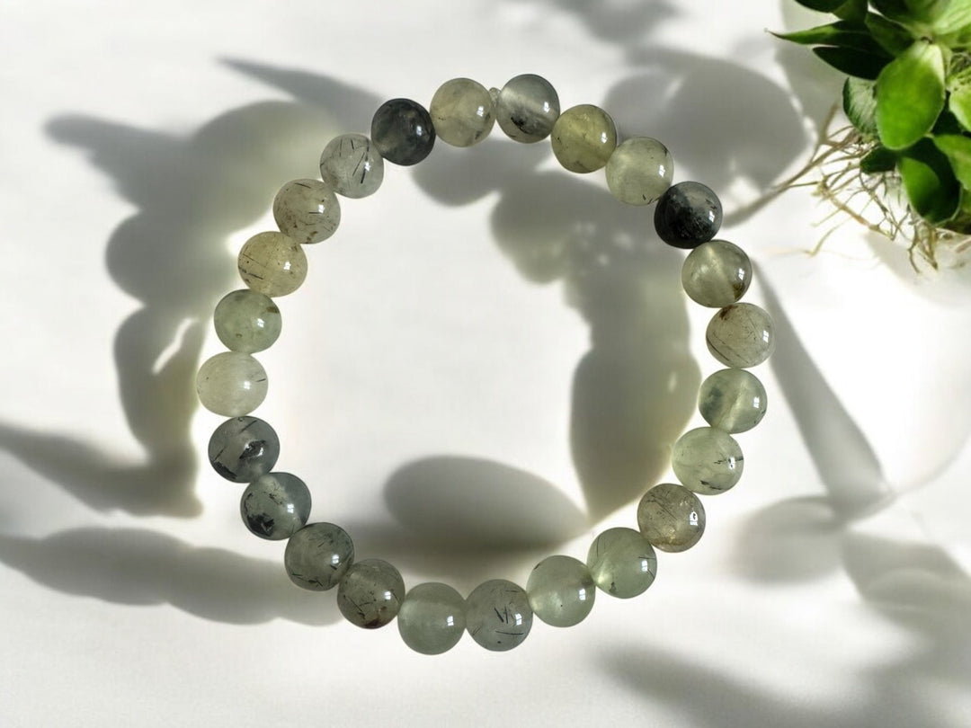 Prehnite Stretch Bracelet (8mm)