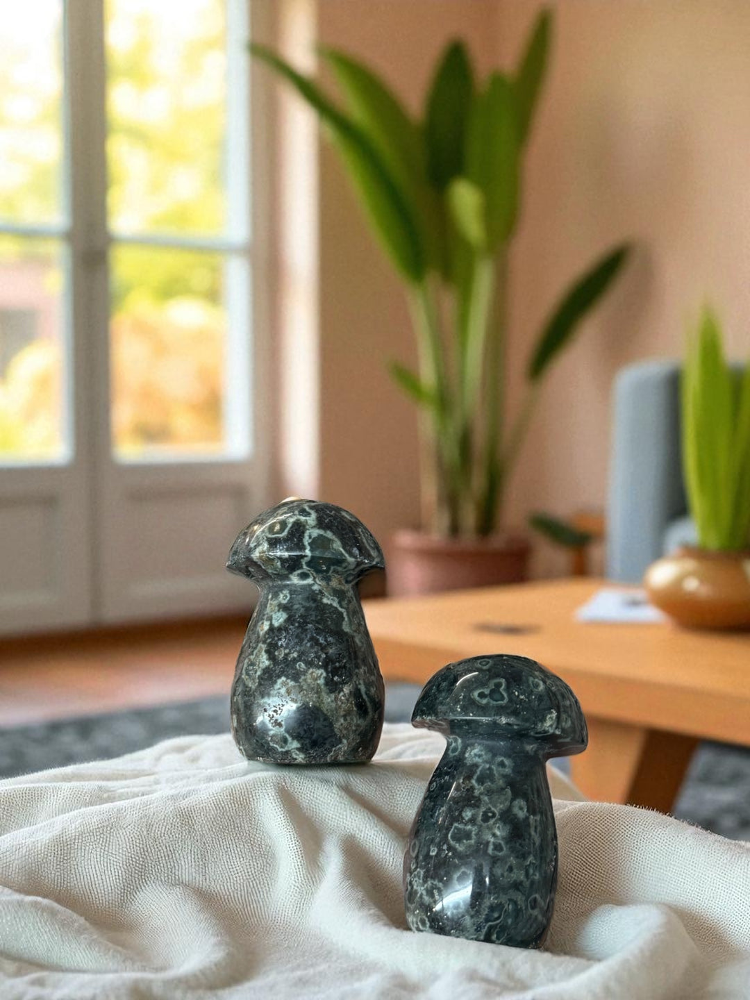 Kambaba Jasper Mushroom Crystal for Grounding and Calm