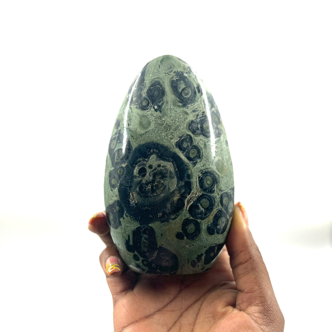 Kambaba Jasper Freeform