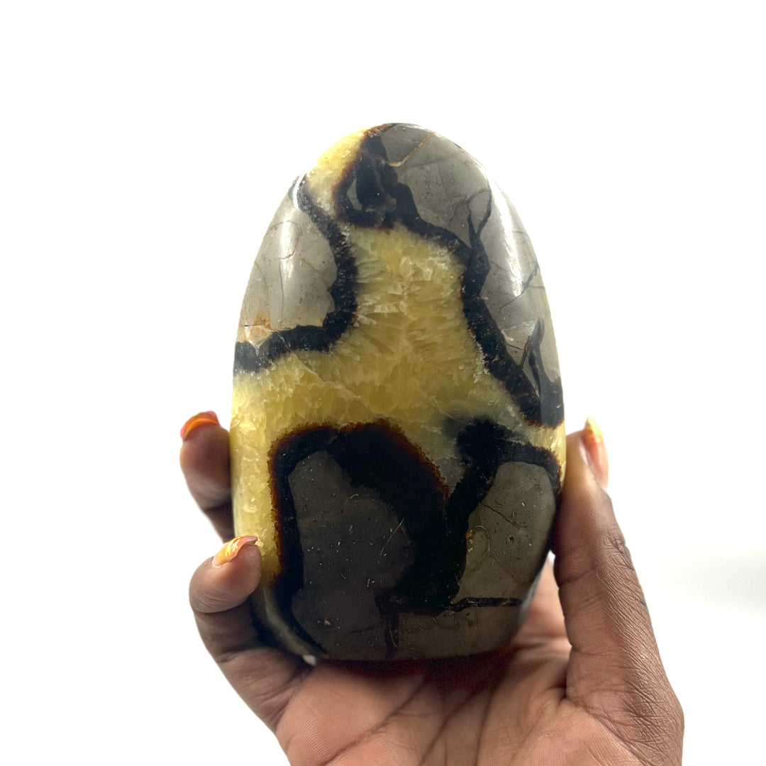 Septarian Freeform